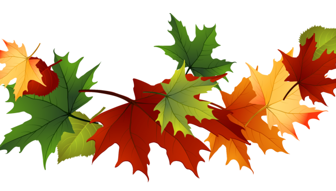 fall leaves