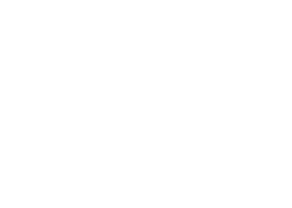 PRIDE logo of a sun
