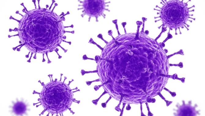 virus