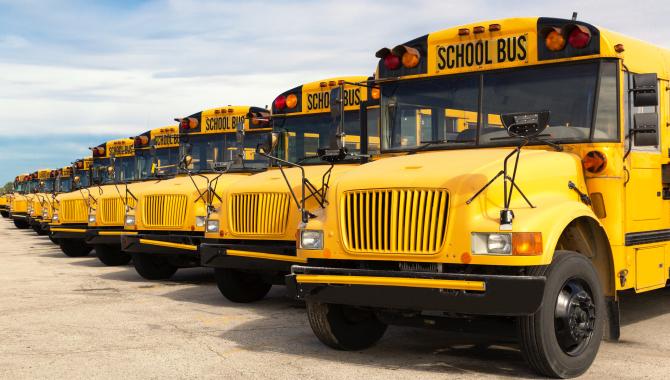 buses
