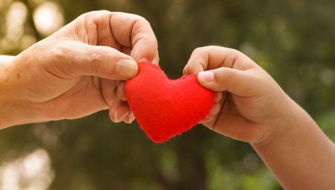 2 hands holding a heart