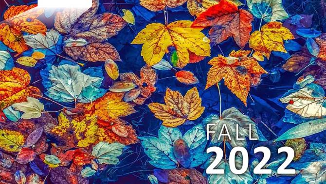 Opening Doors Fall Catalog 2022