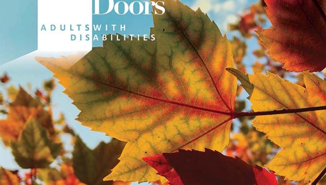 Adults with disabilities fall activities