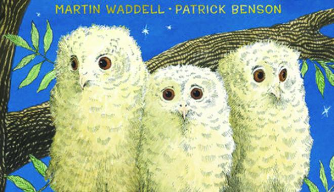 Owl Babies book