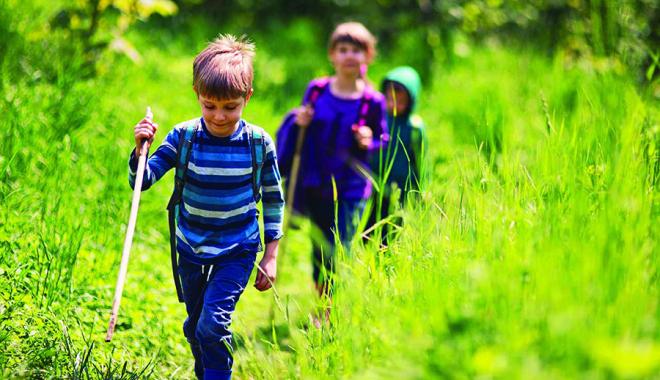 Nature Hike for Kids