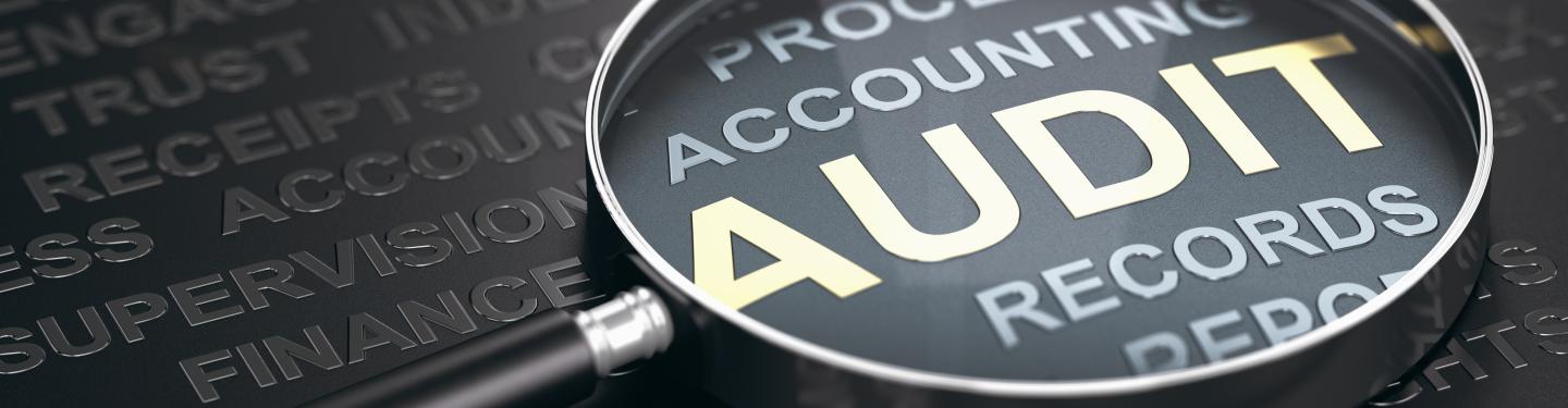 magnifying glass on the word audit