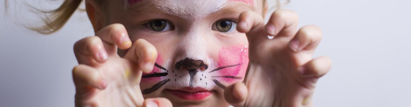 Face painted as a cat