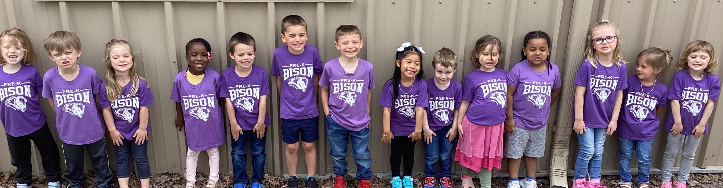 Bison Line